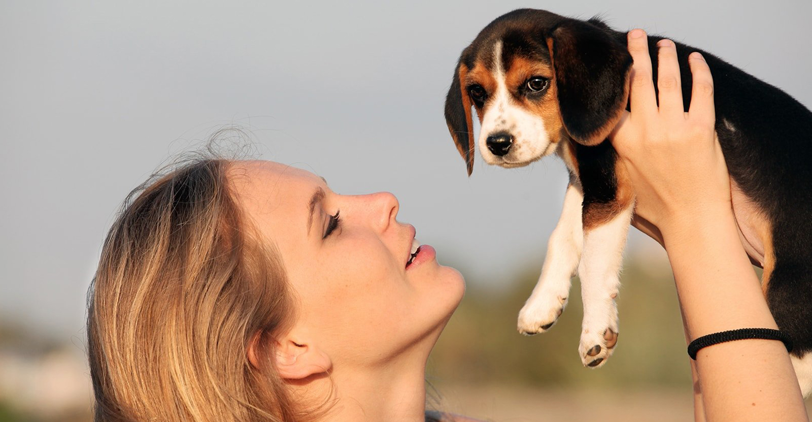 Frau hält ein Hundewelpen